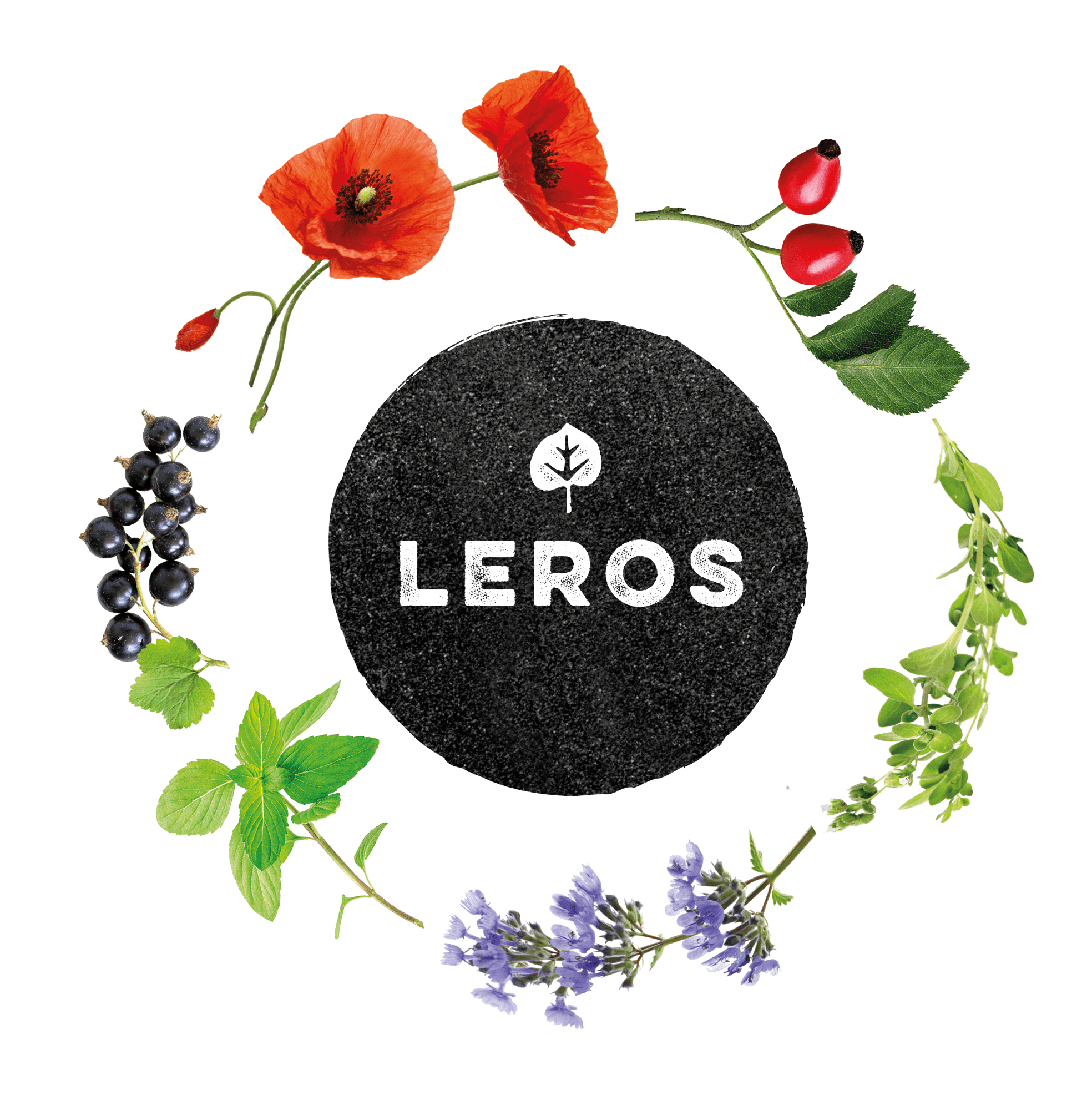 Leros