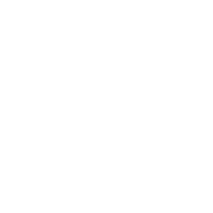 Selfics