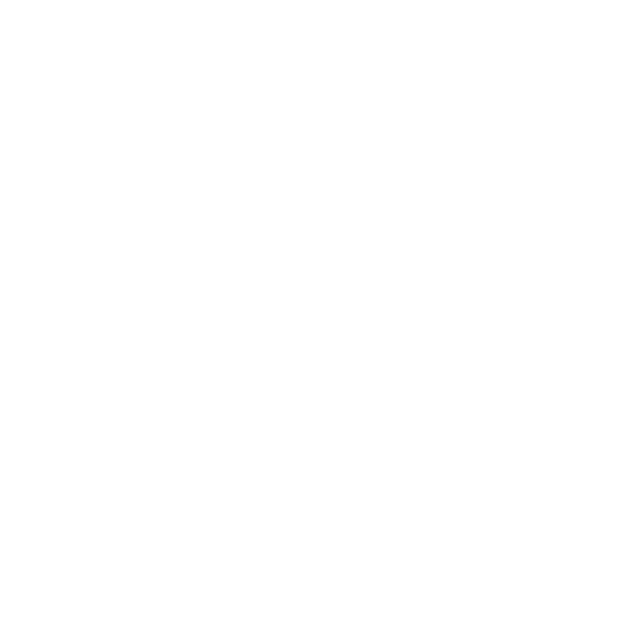 Skautský institut